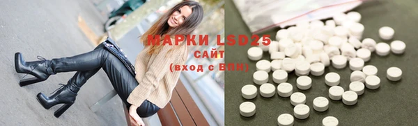 apvp Аркадак