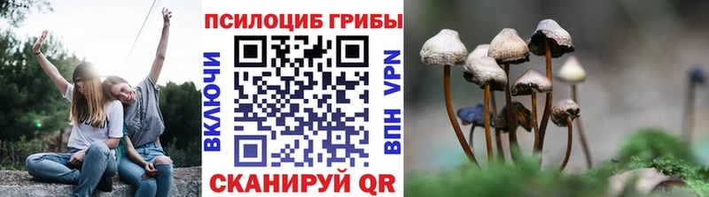 Псилоцибиновые грибы Magic Shrooms  Старица 
